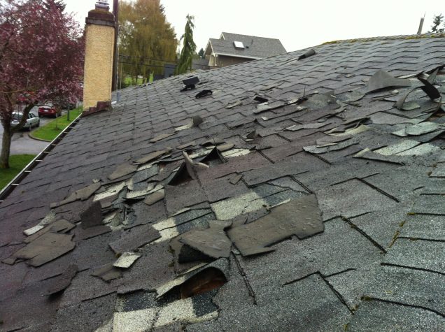 Roofing Services for Damaged Roof